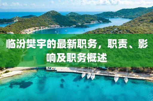 临汾樊宇的最新职务，职责、影响及职务概述