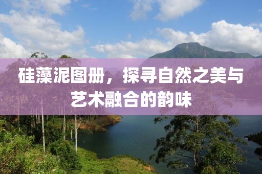 硅藻泥图册，探寻自然之美与艺术融合的韵味