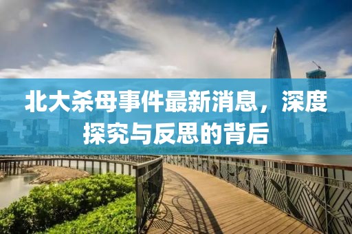 北大杀母事件最新消息，深度探究与反思的背后