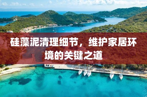 硅藻泥清理细节，维护家居环境的关键之道