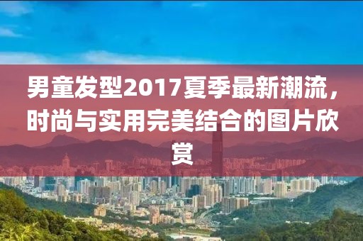 男童发型2017夏季最新潮流，时尚与实用完美结合的图片欣赏