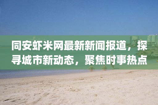 同安虾米网最新新闻报道，探寻城市新动态，聚焦时事热点