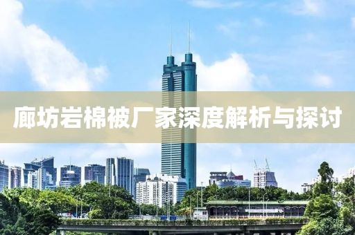 廊坊岩棉被厂家深度解析与探讨