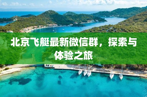 北京飞艇最新微信群，探索与体验之旅