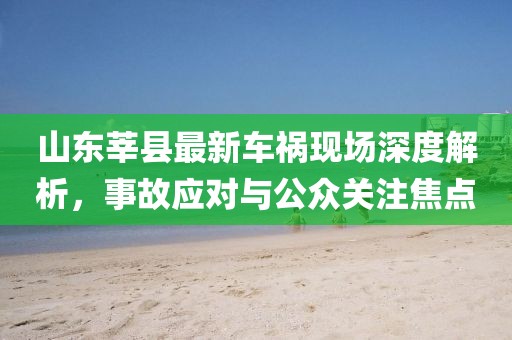 山东莘县最新车祸现场深度解析，事故应对与公众关注焦点