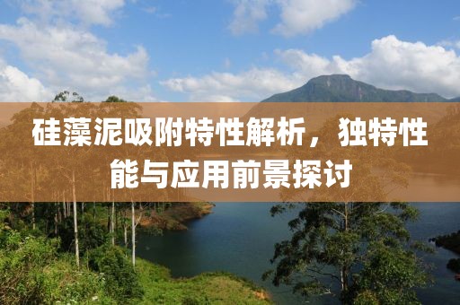 硅藻泥吸附特性解析，独特性能与应用前景探讨