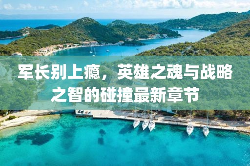 军长别上瘾，英雄之魂与战略之智的碰撞最新章节