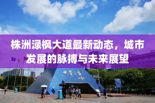 株洲渌枫大道最新动态，城市发展的脉搏与未来展望