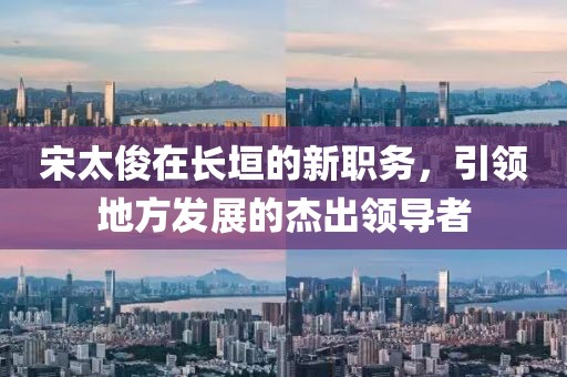 宋太俊在长垣的新职务，引领地方发展的杰出领导者
