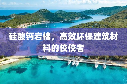 硅酸钙岩棉，高效环保建筑材料的佼佼者