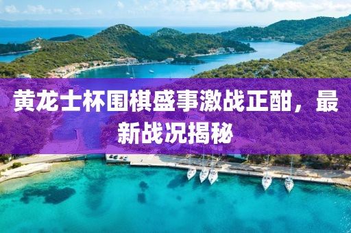 黄龙士杯围棋盛事激战正酣，最新战况揭秘
