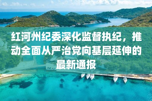 红河州纪委深化监督执纪，推动全面从严治党向基层延伸的最新通报
