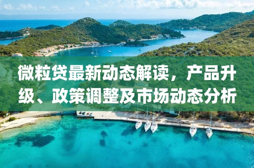 微粒贷最新动态解读，产品升级、政策调整及市场动态分析