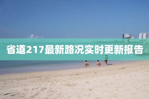 省道217最新路况实时更新报告