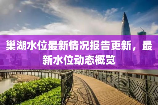 巢湖水位最新情况报告更新，最新水位动态概览