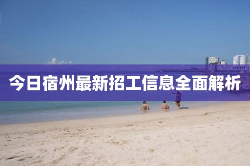 今日宿州最新招工信息全面解析
