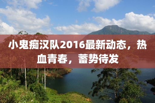 小鬼痴汉队2016最新动态，热血青春，蓄势待发