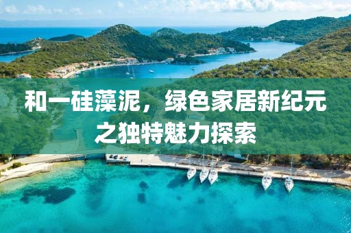 和一硅藻泥，绿色家居新纪元之独特魅力探索