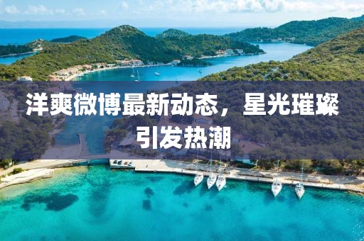 洋爽微博最新动态，星光璀璨引发热潮
