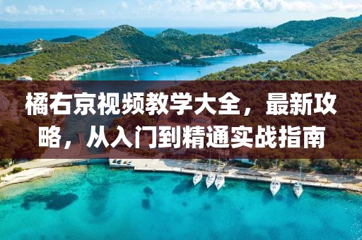 橘右京视频教学大全，最新攻略，从入门到精通实战指南