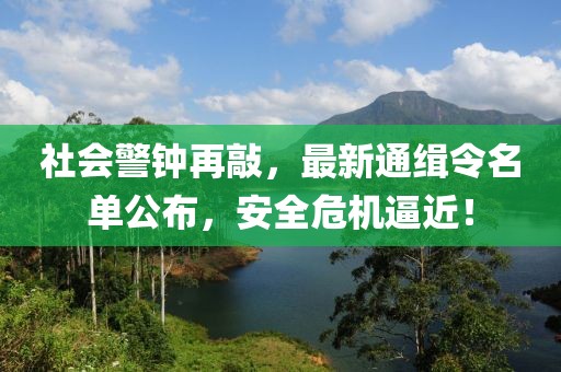社会警钟再敲，最新通缉令名单公布，安全危机逼近！