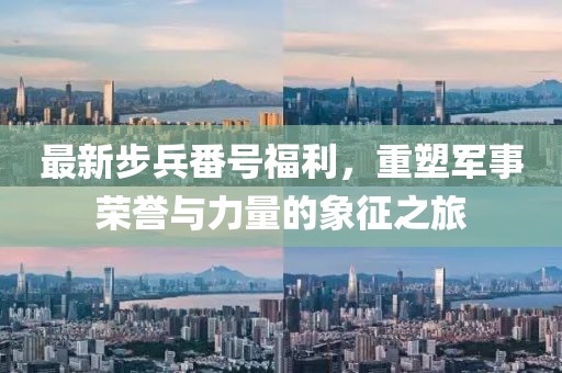 最新步兵番号福利，重塑军事荣誉与力量的象征之旅