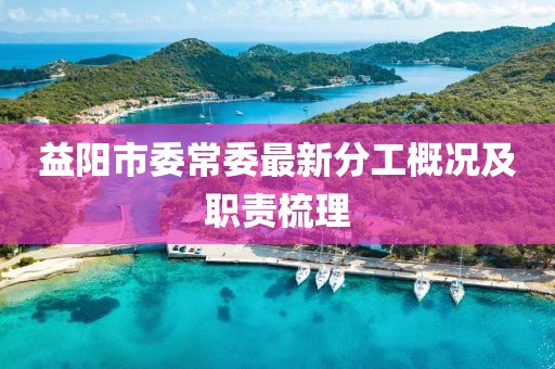 益阳市委常委最新分工概况及职责梳理