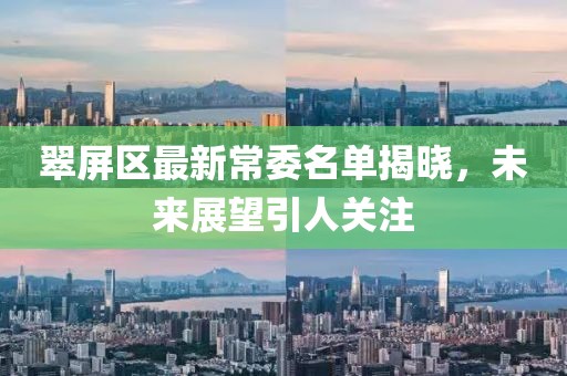 翠屏区最新常委名单揭晓，未来展望引人关注