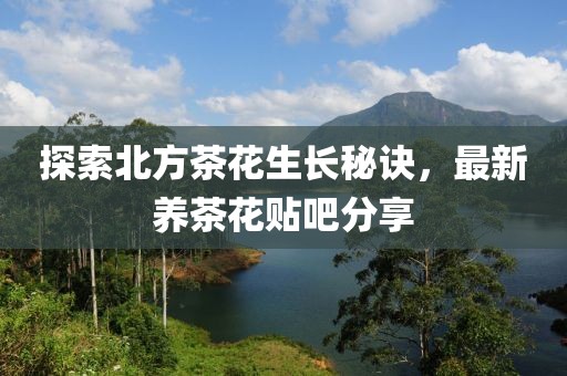 探索北方茶花生长秘诀，最新养茶花贴吧分享