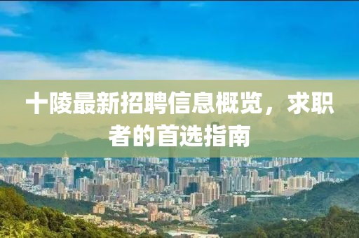 十陵最新招聘信息概览，求职者的首选指南