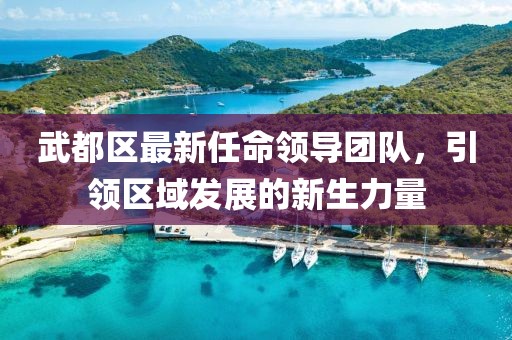 武都区最新任命领导团队，引领区域发展的新生力量