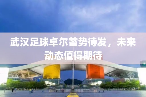 武汉足球卓尔蓄势待发，未来动态值得期待