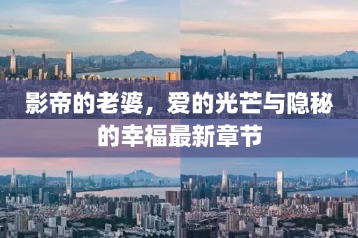 影帝的老婆，爱的光芒与隐秘的幸福最新章节