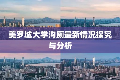 美罗城大学沟厕最新情况探究与分析