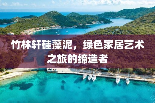 竹林轩硅藻泥，绿色家居艺术之旅的缔造者