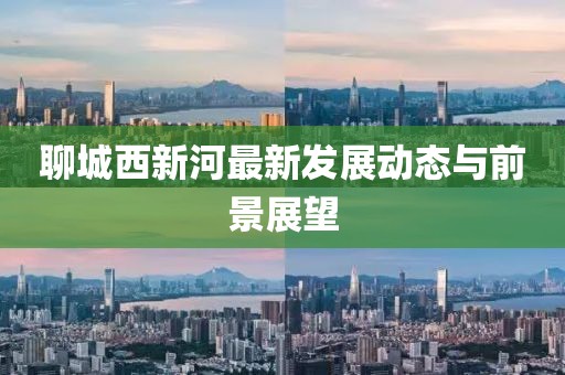 聊城西新河最新发展动态与前景展望