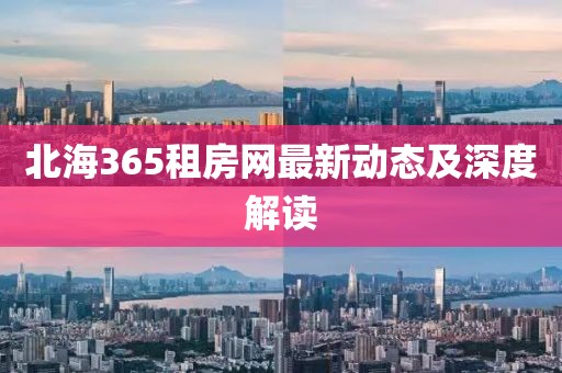 北海365租房网最新动态及深度解读