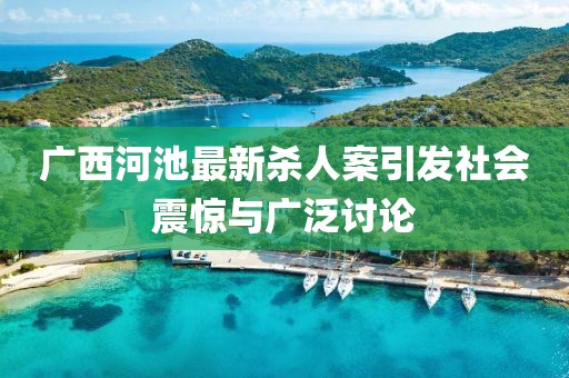 广西河池最新杀人案引发社会震惊与广泛讨论
