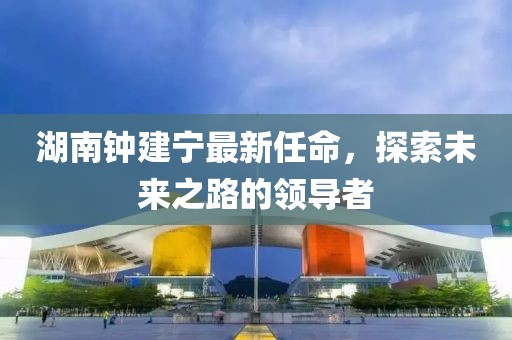 湖南钟建宁最新任命，探索未来之路的领导者