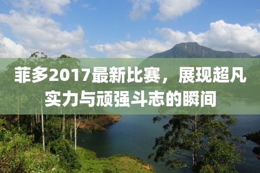 菲多2017最新比赛，展现超凡实力与顽强斗志的瞬间