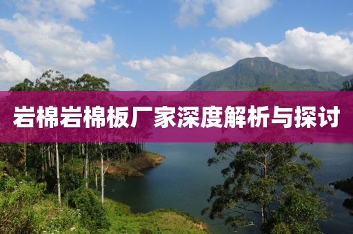 岩棉岩棉板厂家深度解析与探讨