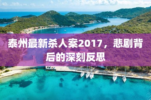 泰州最新杀人案2017，悲剧背后的深刻反思