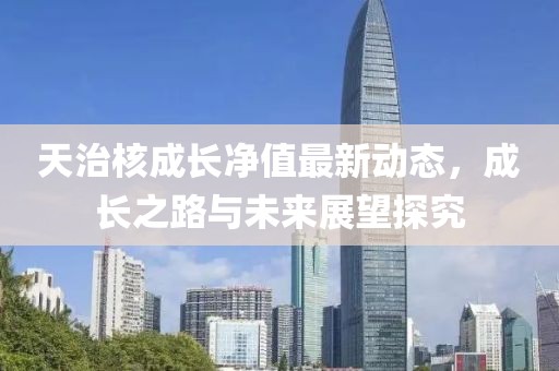 天治核成长净值最新动态，成长之路与未来展望探究