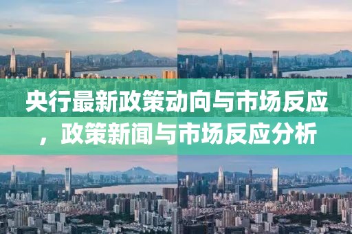 央行最新政策动向与市场反应，政策新闻与市场反应分析
