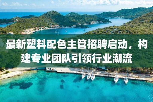 最新塑料配色主管招聘启动，构建专业团队引领行业潮流