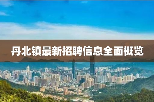 丹北镇最新招聘信息全面概览