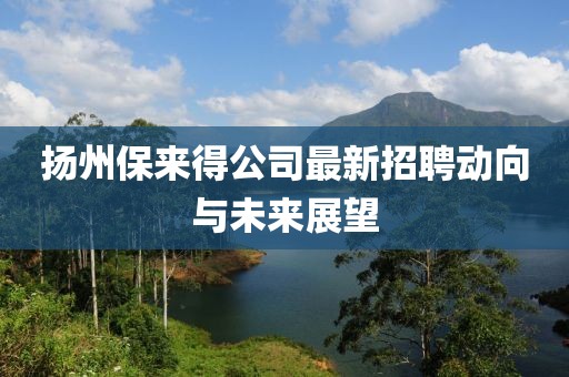扬州保来得公司最新招聘动向与未来展望