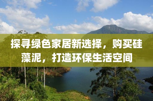 探寻绿色家居新选择，购买硅藻泥，打造环保生活空间
