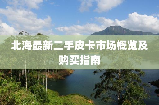 北海最新二手皮卡市场概览及购买指南
