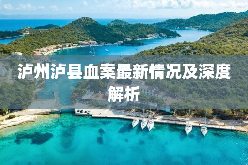 泸州泸县血案最新情况及深度解析